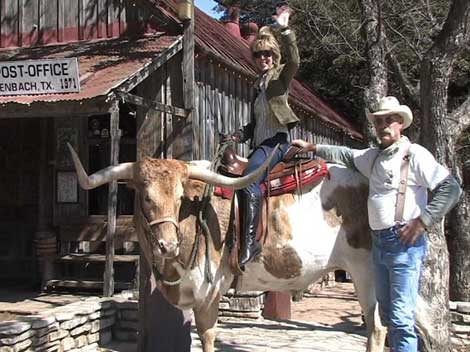 June '09 - Luckenbach - Bull