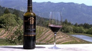 Pride Mountain Vineyards - Wine