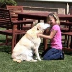 Schweiger Vineyards - Girl & Dog