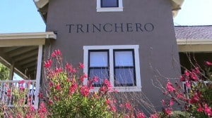 Trinchero Vineyards
