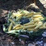 Pachamnca - corn