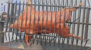 March '11 - Houston Rodeo - BBQ - Pig