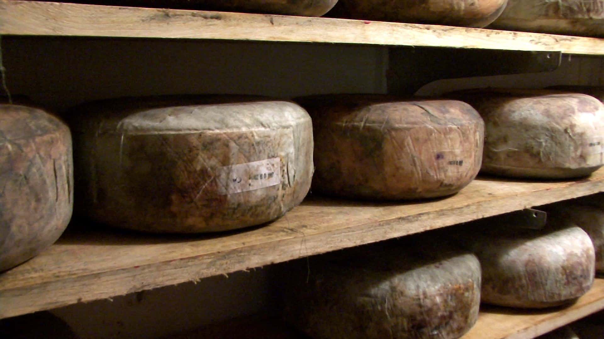 apr11 homestead cheese - Cheeses getting popular with top chefs
