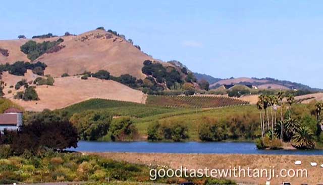 Domain Carneros - The perfect first stop on your wine trip