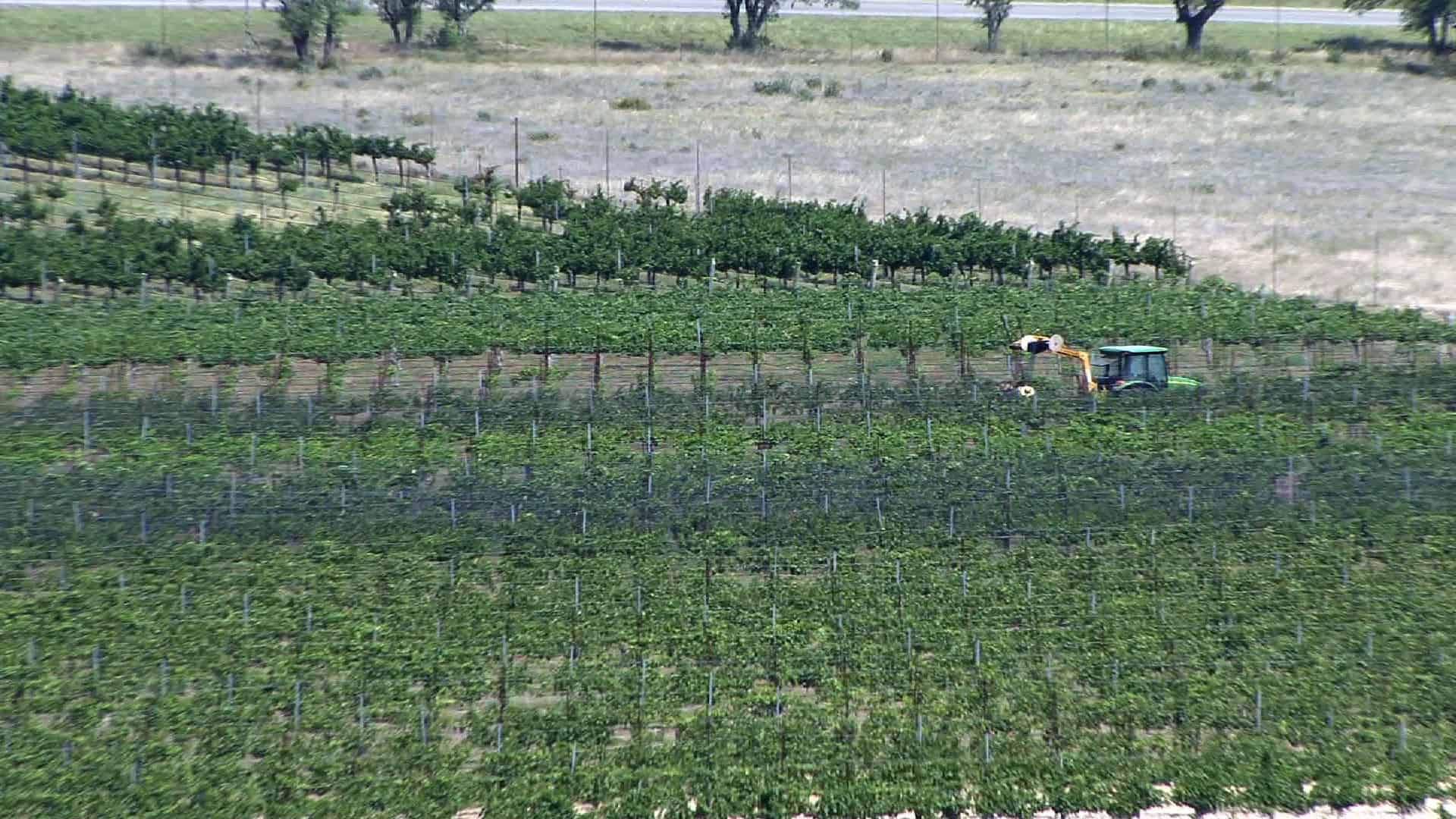 Driftwood Estates Winery