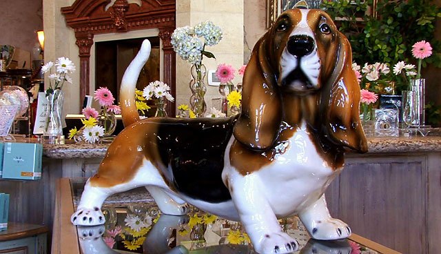 Las Finezas - Basset Hound