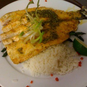 Key Lime Trout