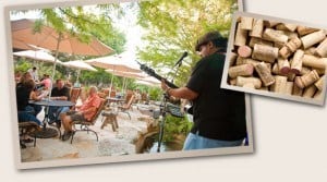 Newsom Vineyards Vintner Dinner