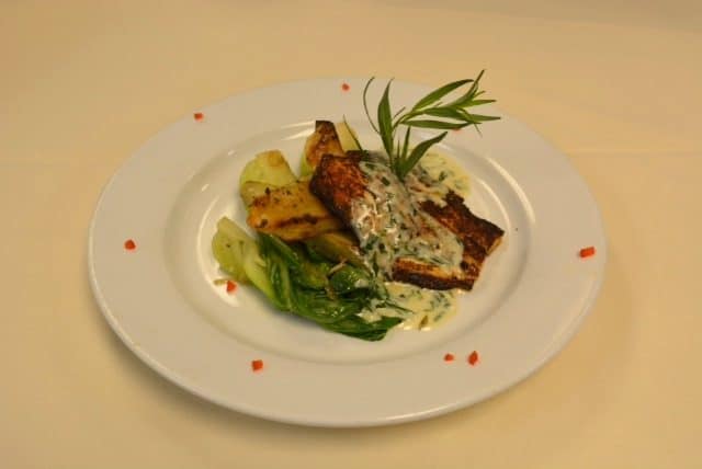 massa-redfish