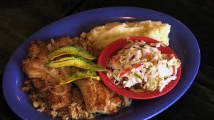 j-anthony-fish-plate