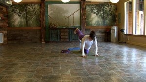 Deer Lake Lodge Overview Yogas