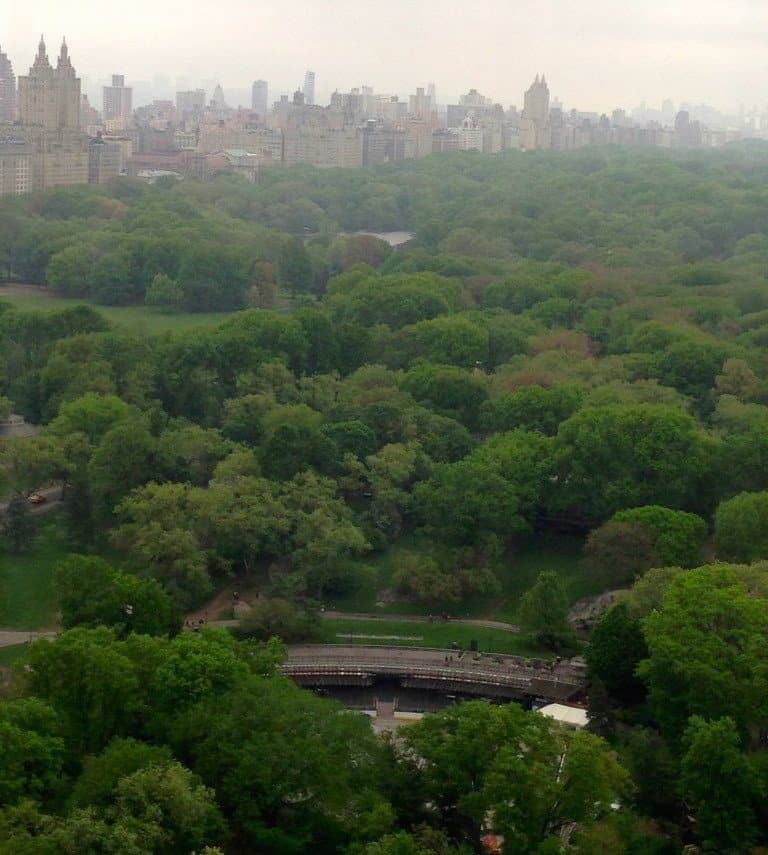 central-park-2