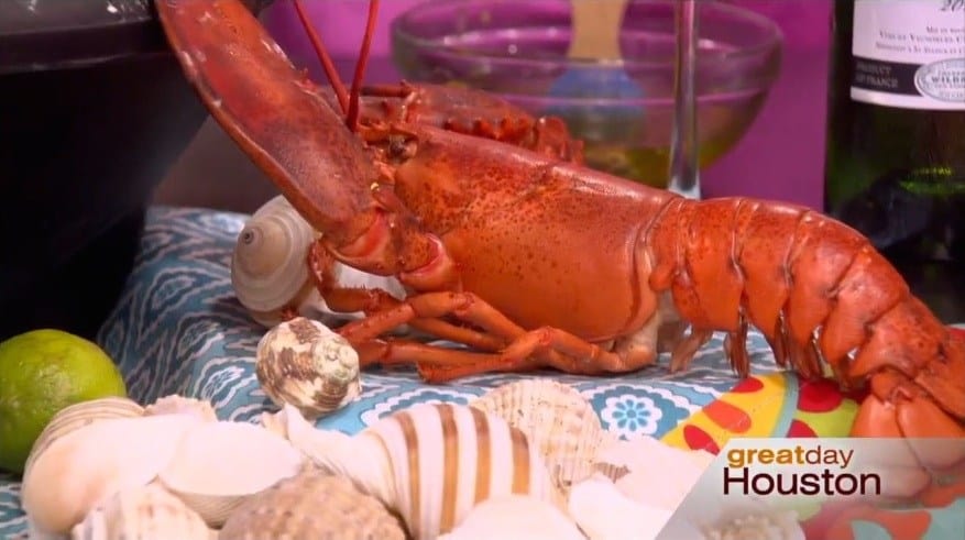 great-day-houston-lobster