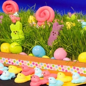 easter-peeps easter-peeps