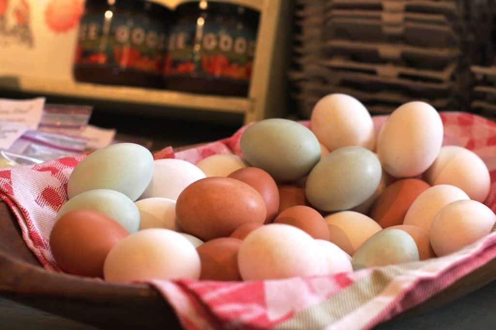 boggy-eggs