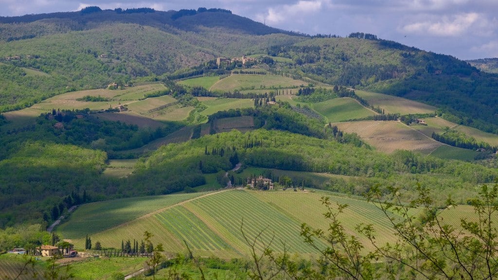 Tuscany 2015-5996
