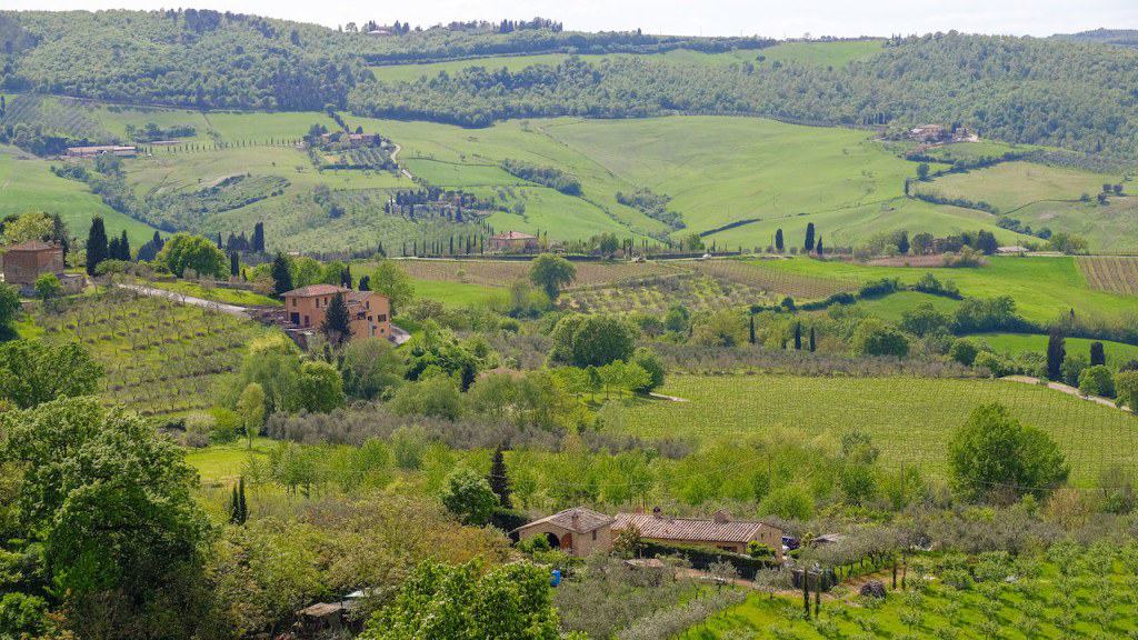 Tuscany 2015-6138