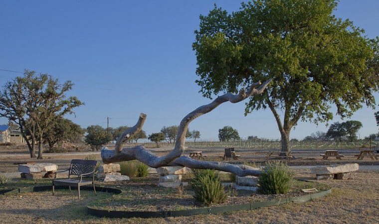 Bending Branch Winery