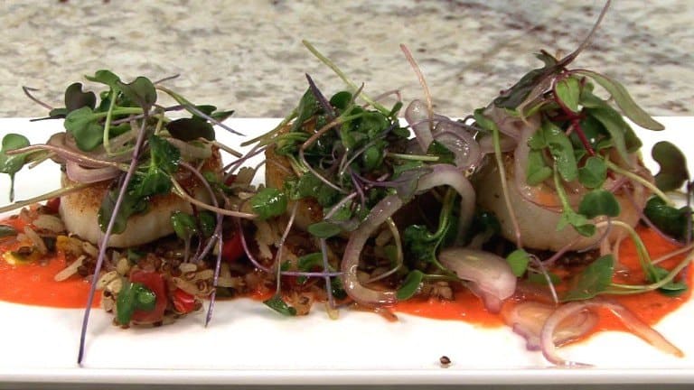 SyscoCTX Scallops1 768x432 - Simple Seared Scallops - Moist & Flavorful!