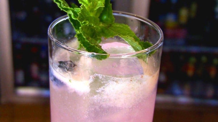 Westin-Blueberry-Mojito1_large