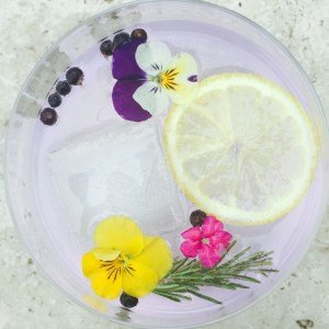 Lavender Gin & Tonic