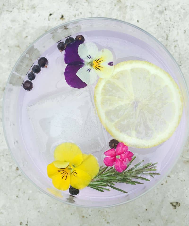 Lavender Gin & Tonic Goodtaste with Tanji