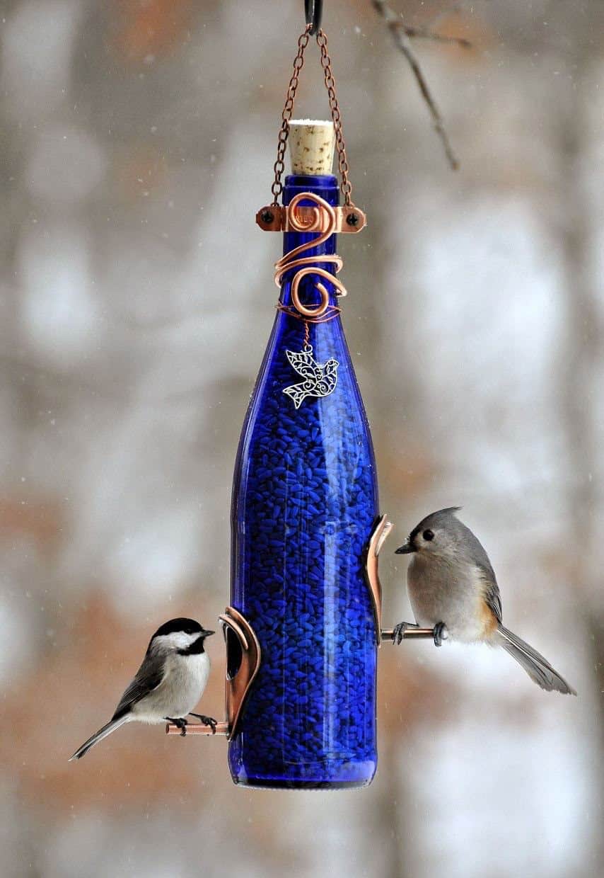 bottle wine diy crafts bird feeder goodtaste