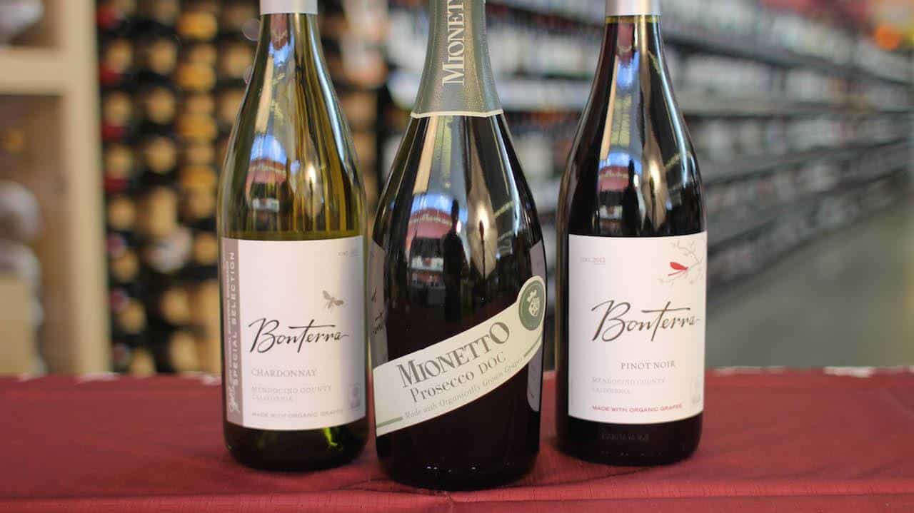 Wise Winos Drink Organic! Goodtaste with Tanji