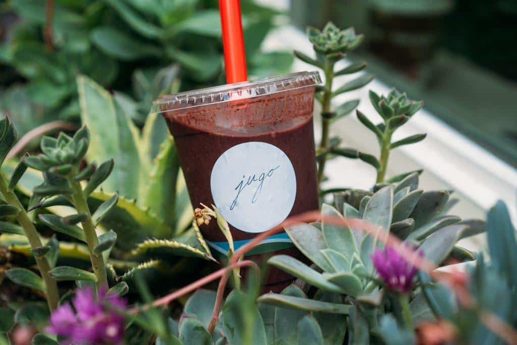 Blueberry, Kale, Honey, Yogurt, Apple Smoothie