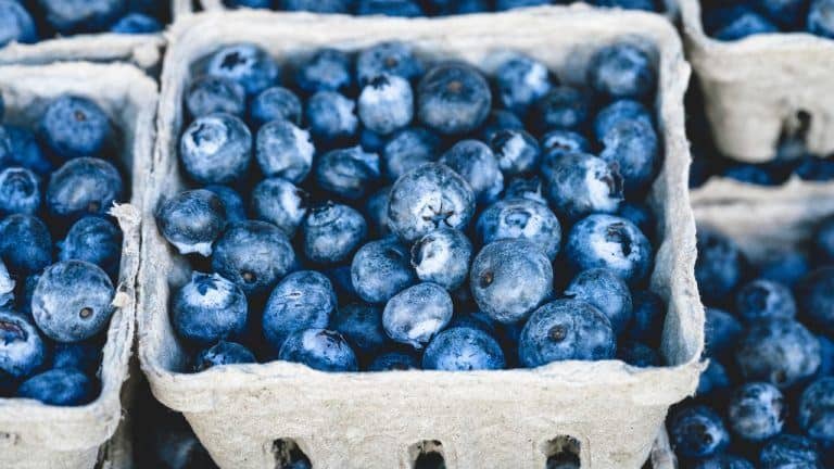 Texas Farmer's Market blueberries