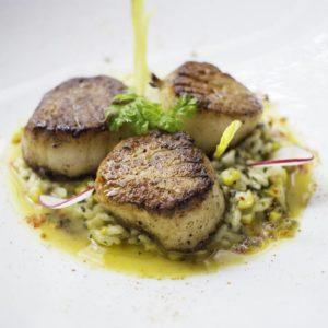 Potente's Diver Scallops with Crushed Corn Risotto & Shellfish Brodo