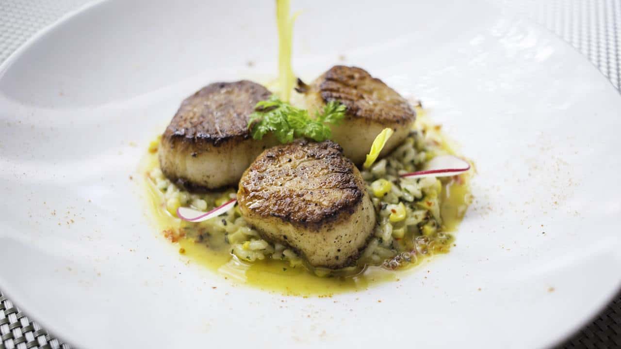 Potente S Diver Scallops With Crushed Corn Risotto Shellfish Brodo Goodtaste With Tanji Potente S Diver Scallops With Crushed Corn Risotto Shellfish Brodo Goodtaste With Tanji