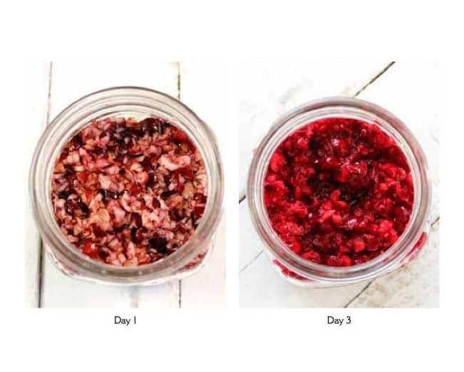 Cranberry Orange Relish