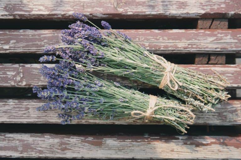 pexels photo 171286 768x512 - Love These Lavender Recipes