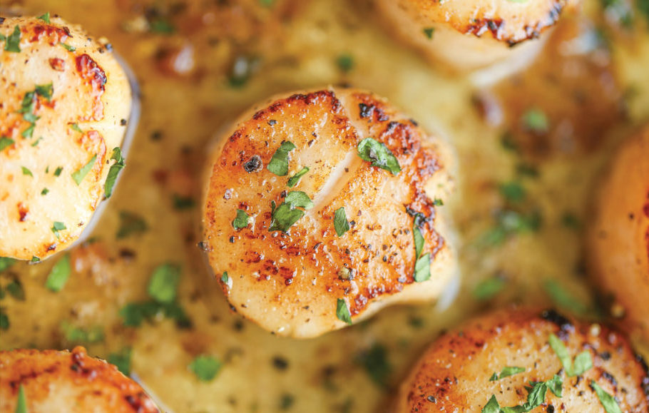 Lemon Butter Scallops 1