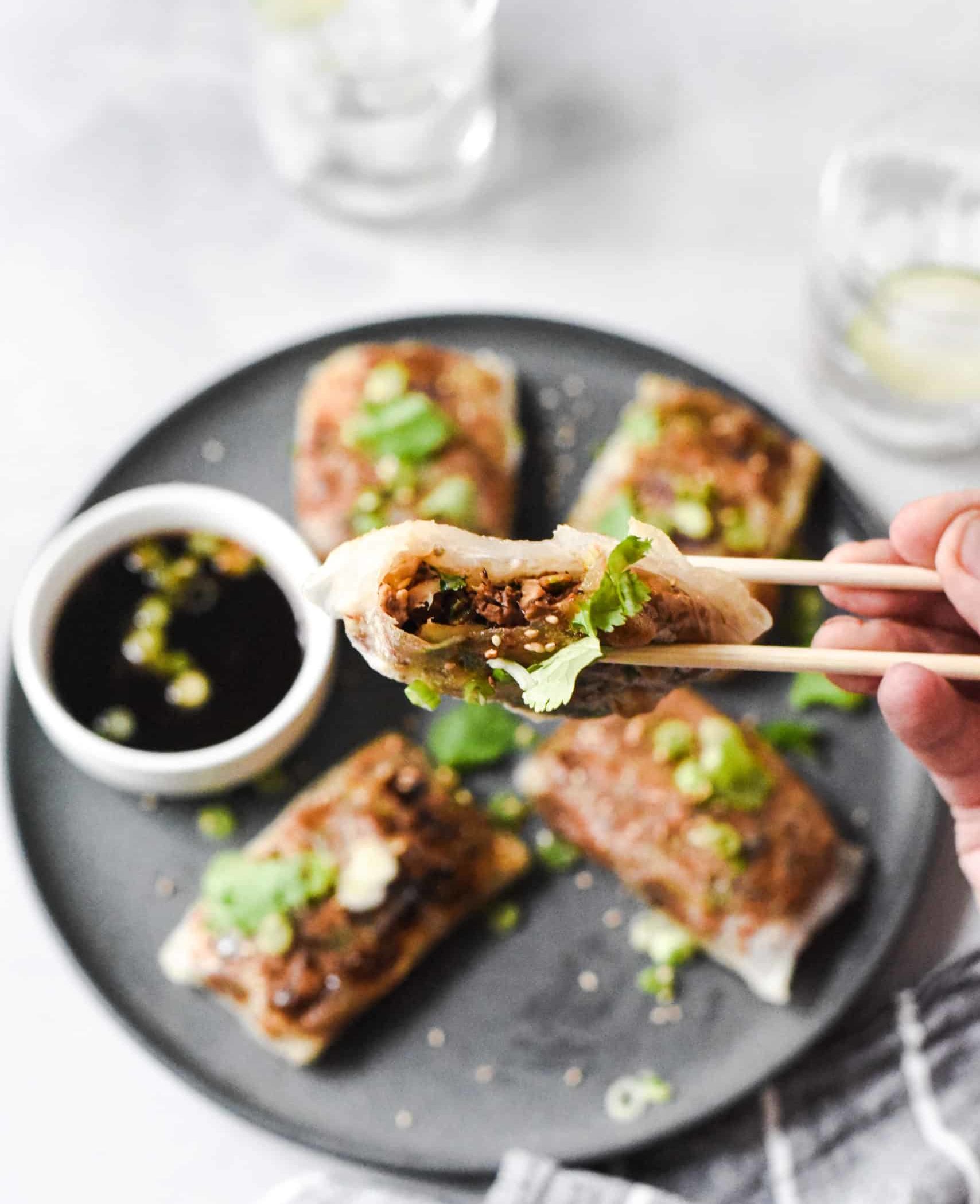 Crispy Rice Paper Dumplings with Brisket Goodtaste with Tanji