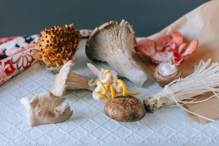 Mushrooms