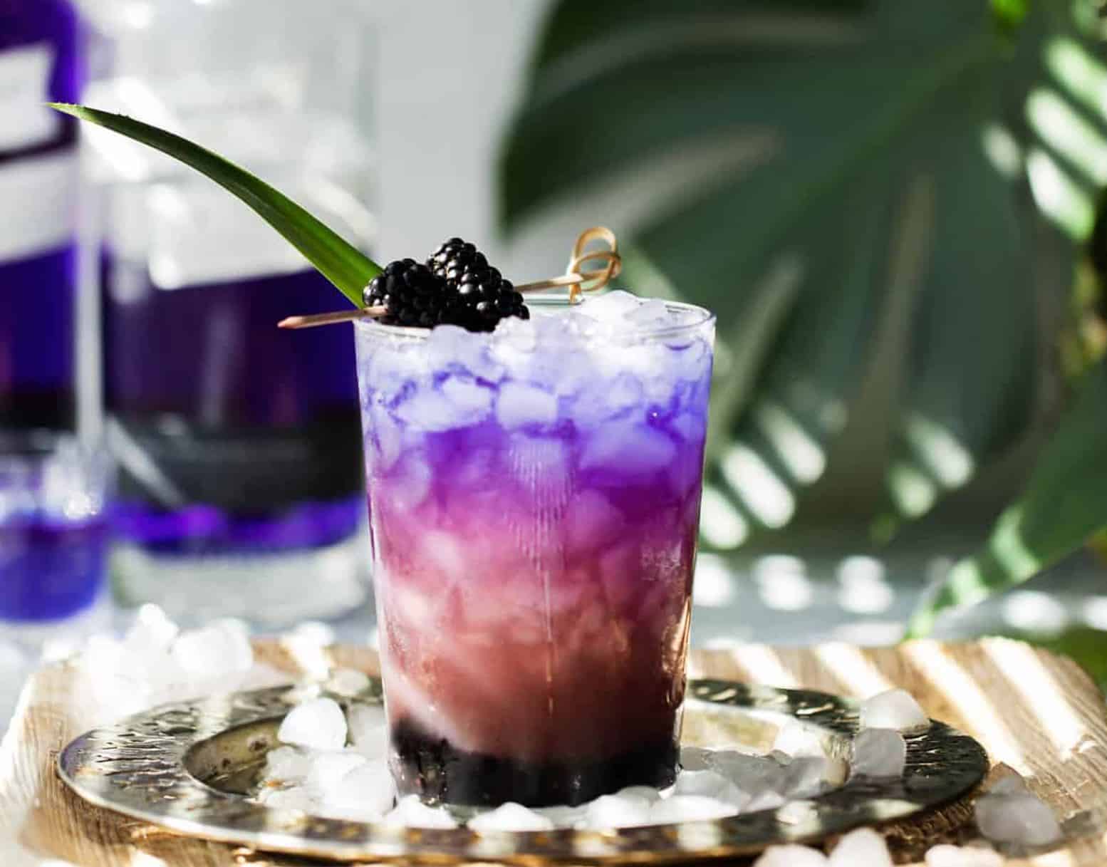  Pacific Empress Gin and Tonic