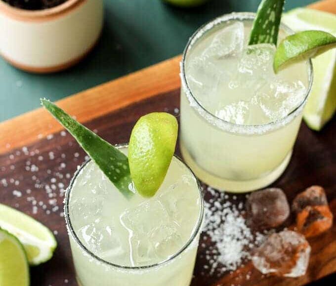 aloe vera margarita