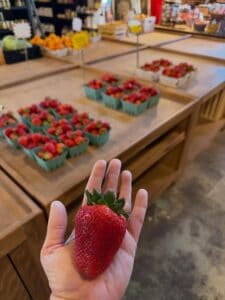jenschke orchards strawberries 2 jenschke orchards strawberries 2