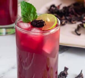prickly pear hibiscus agua fresca