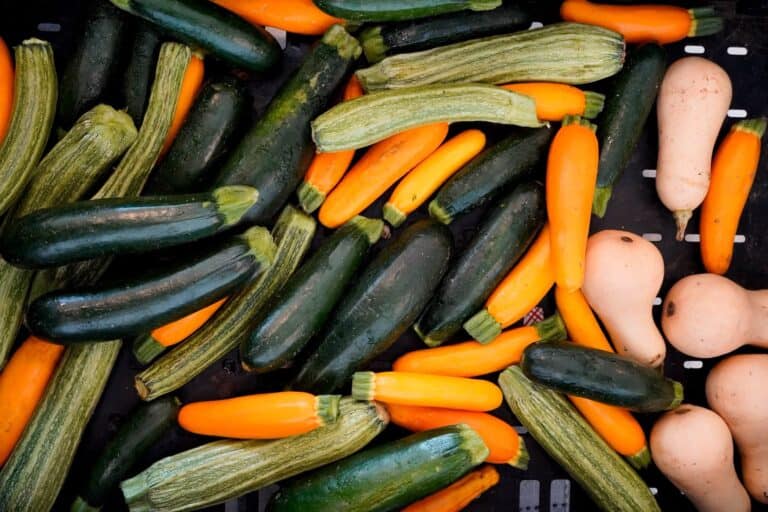 texas farmers' market at mueller